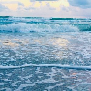 Meet your Posher, Ella